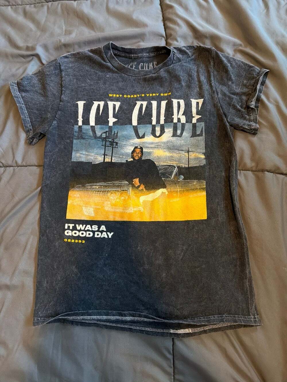 Official Ice Cube It Was a Good Day Mineral Wash Graphic T-Shirt Men’s Small